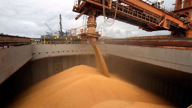 Se frenó la recuperación de las exportaciones pampeanas de granos y derivados industriales