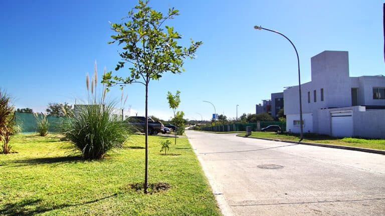 Sólo el 3% de los lotes que se comercializan en Córdoba tienen escritura