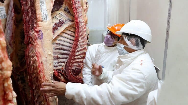 Extienden hasta el 31 de octubre el cepo a las exportaciones de carne