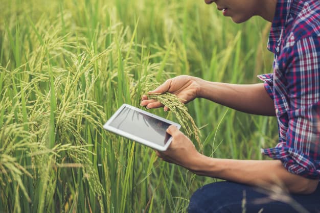 Las Agtech cordobesas casi se duplicaron en 3 años: los números del sector