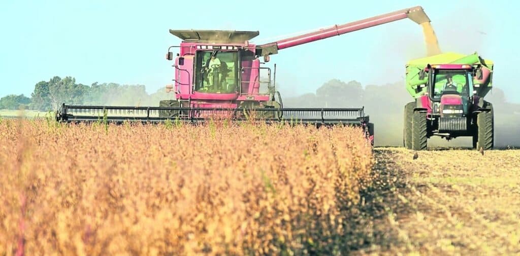 La liquidación de exportaciones de granos y la agroindustria cayó 5,5% en 2018