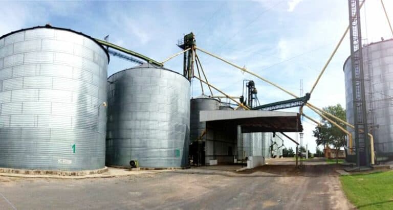 El campo liquidó u$s2.093 millones de las exportaciones de granos en septiembre