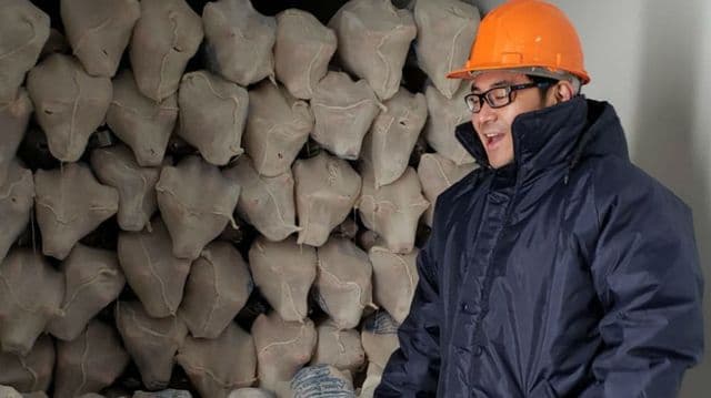 Parte la primera exportación de cordero patagónico a Japón