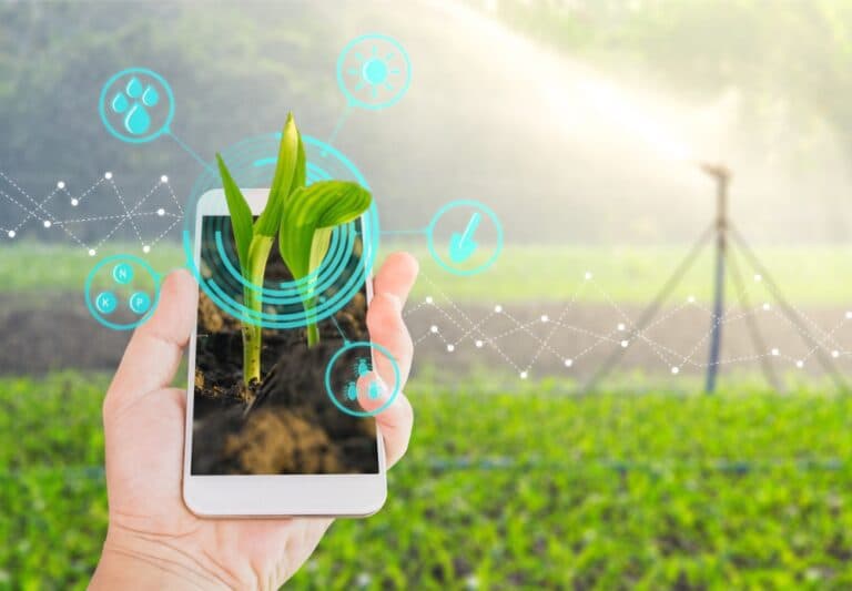 Radiografía del ecosistema AgTech en Córdoba: estadío, facturación y perfil de las empresas