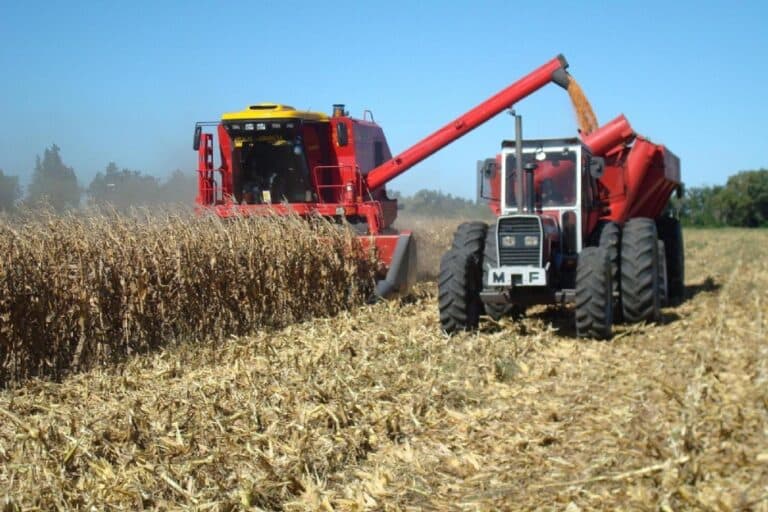 Por retenciones, el campo y la agroindustria aportarán al Estado $230.000 millones en 2019