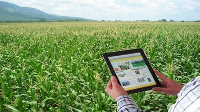 El Gobierno lanzó el sistema de warrant electrónico