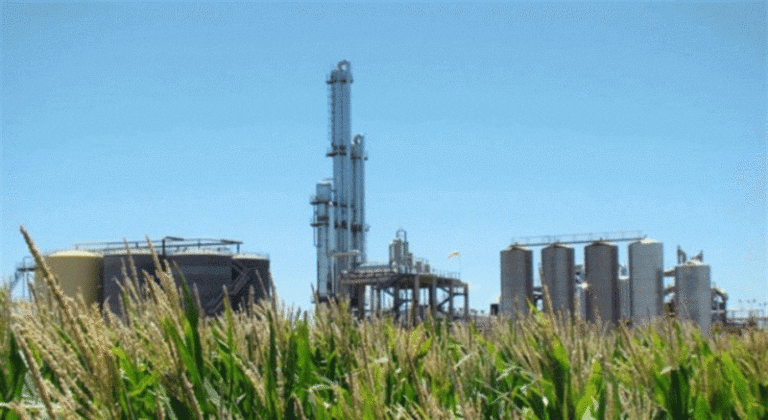 Productores de etanol: «estamos en situación de quebranto»