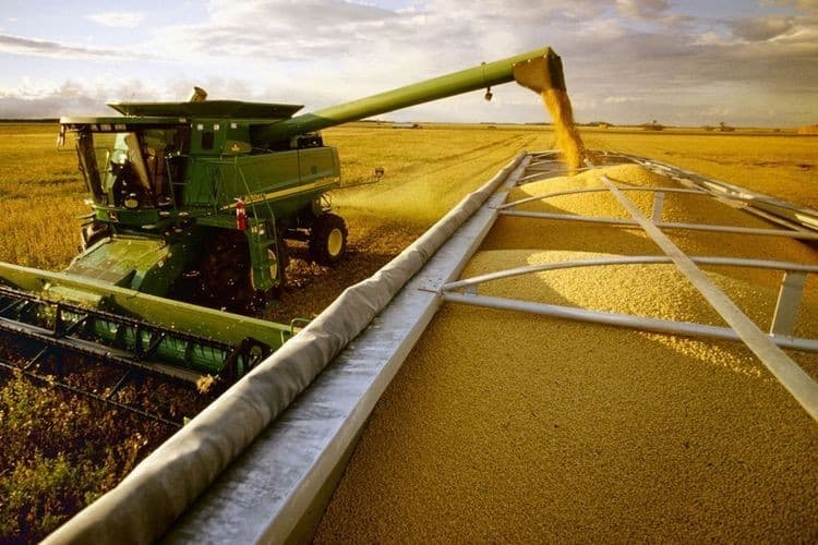 El campo se blinda contra Alberto: productores anticipan ventas en la transición