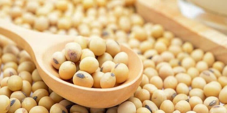Biotecnológica argentina se une a China para potenciar cultivo de soja
