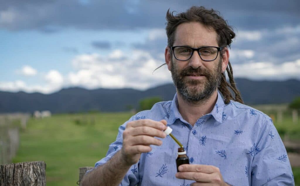 Cannabis en Córdoba: una industria con fuerte cadena de valor y que pide apoyo del sector público local