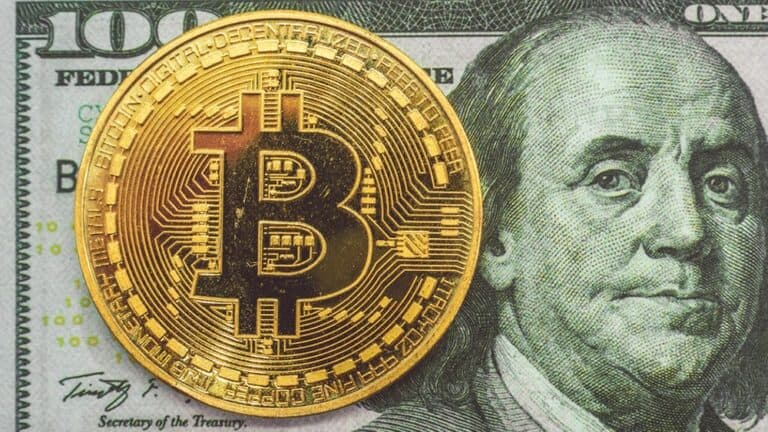 Bitcoin o dólar Blue: ¿cuál es la mejor opción para preservar el valor de los ahorros?