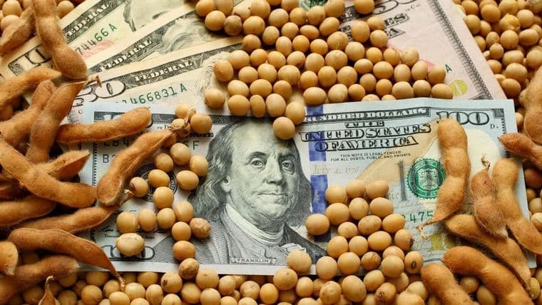 Dólar soja: una medida paliativa que no resuelve los problemas del campo