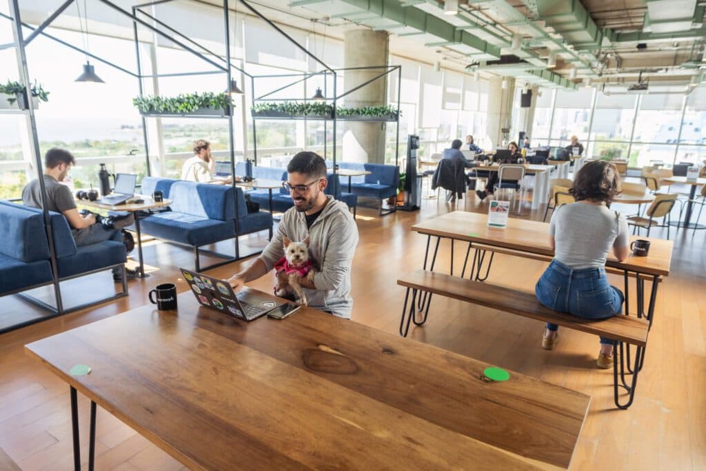 Inteligencia Artificial: la nueva aliada de los freelancers