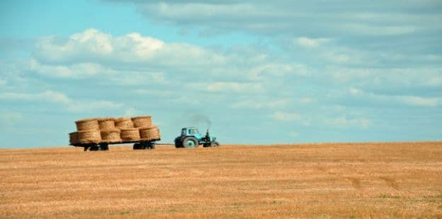 Exportaciones agrícolas: cuántos dólares podría generar el sector en 2024