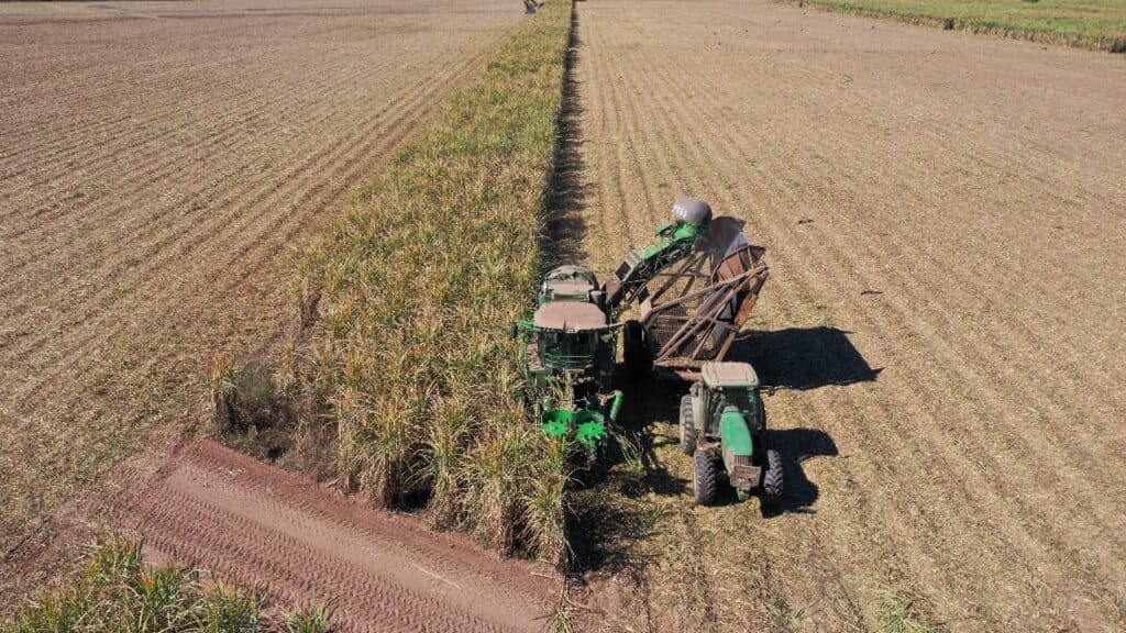 Campos extranjeros: los países más rentables para invertir en el agro