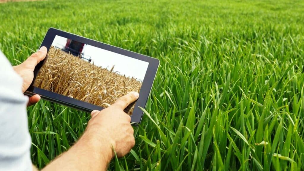 Ahora el campo tiene su marketplace: cómo funciona Bipolos, la plataforma creada para el agro argentino