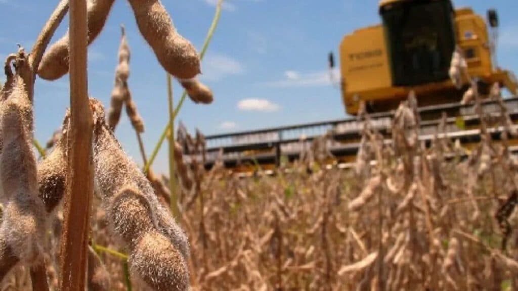 Retenciones: “el productor argentino sale a la cancha perdiendo 3 a 0 contra productores de la región”