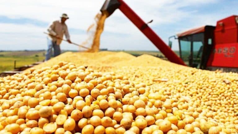 Baja de retenciones: la Bolsa de Cereales de Córdoba valora la previsibilidad, pero advierte que «no es suficiente»
