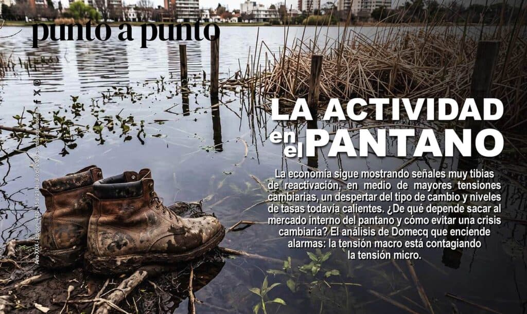 Edición 1433: La actividad en el pantano
