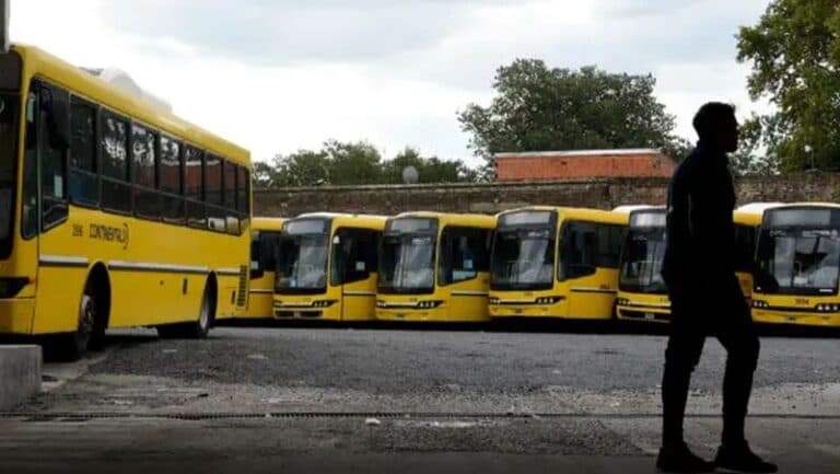 La Cámara de Comercio de Córdoba, en alerta por el impacto negativo del paro de colectivos