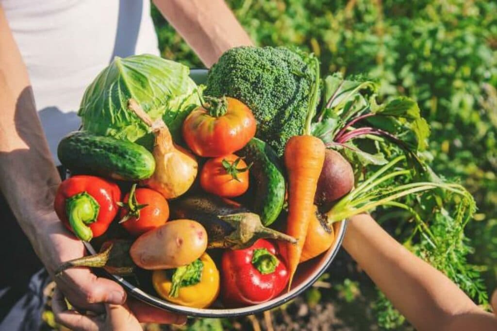 Se viene el primer Congreso de Gastronomía Sustentable