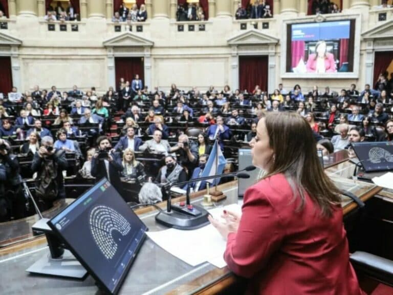 Ley Johanna: De qué trata el proyecto por la atención frente a la muerte perinatal