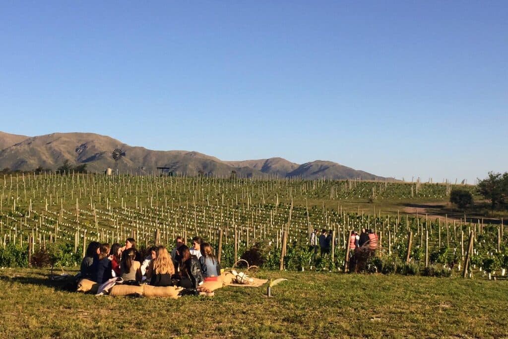 Viñedo Nébula se prepara para el Festival de gracias: una celebración de agradecimiento al universo