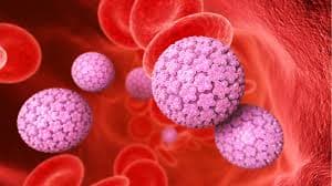 Mitos y verdades del Virus del Papiloma Humano (HPV)