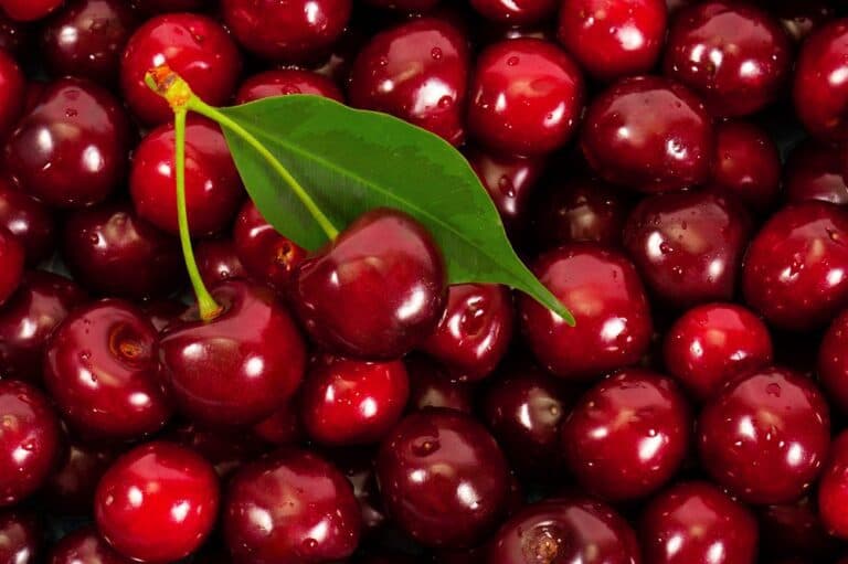 Por primera vez en la historia, se exportarán cerezas argentinas a China