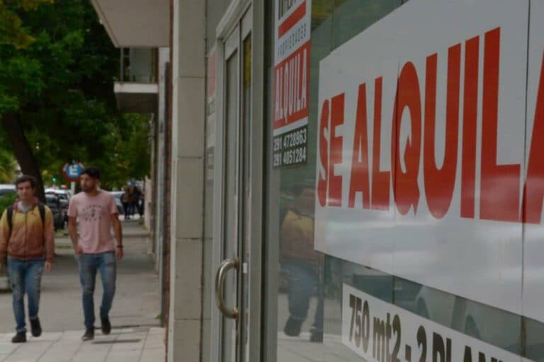 Cuál fue el impacto negativo de la ley de Alquileres y qué estrategias se aplican para la recuperación