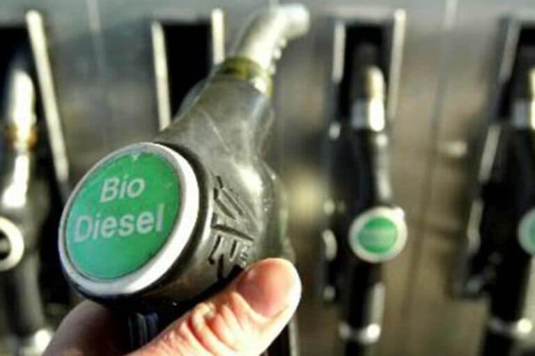 EE.UU. bajó aranceles contra el biodiésel argentino, aunque el mercado continúa «cerrado»
