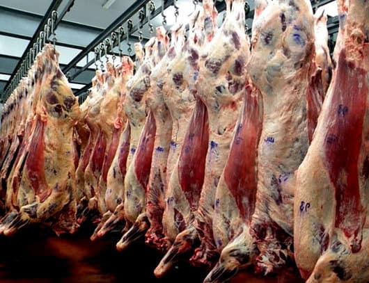 En abril, el 75% de la carne vacuna exportada fue a China