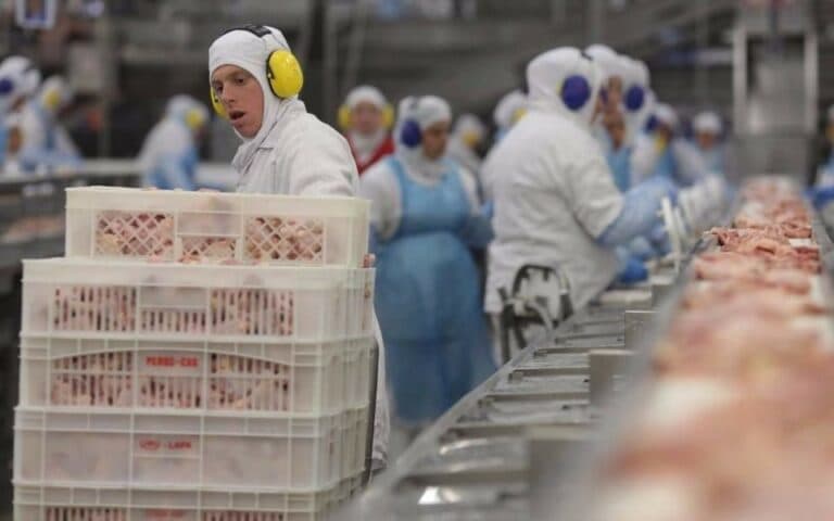 Promueven nuevos negocios de exportación de carne de cerdo argentina a China