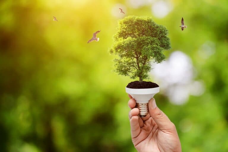 Invertirán $ 10.000 M para que las pymes sean más sustentables y ecológicas