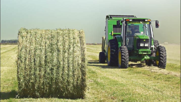 Inversores saudíes exploran oportunidades con productores de alfalfa