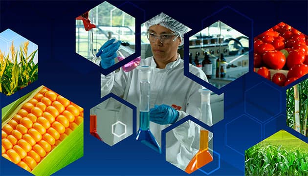 Premio Arcor a la Innovación: $500.000 al mejor proyecto