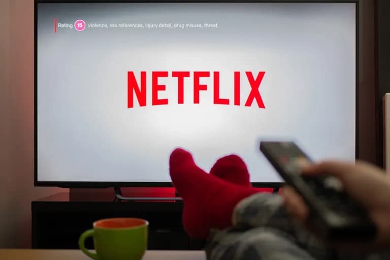 Cuántos dólares se van por el uso de plataformas de streaming