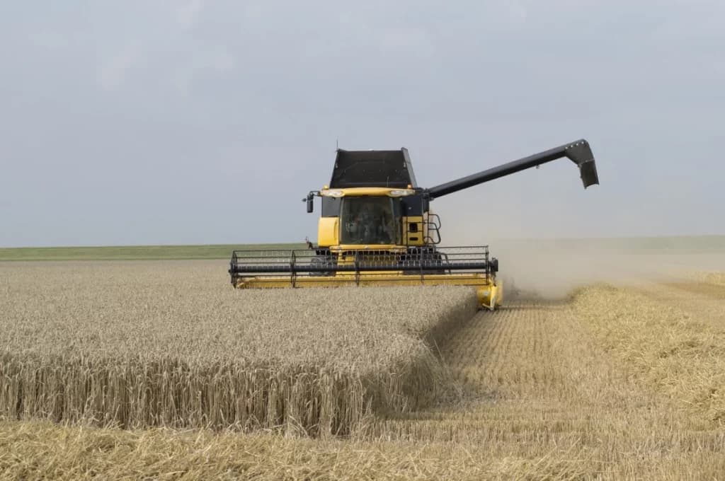 El Estado se queda casi con el 75% de la renta agrícola