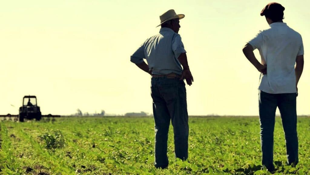 De cara a las elecciones, ¿mejoran las expectativas de empresarios del agro?