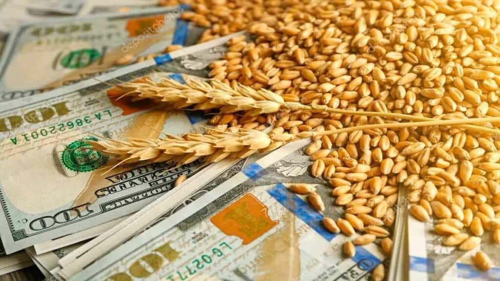¿Llegan los dólares? las proyecciones de la Bolsa de Cereales sobre la primera cosecha de Milei