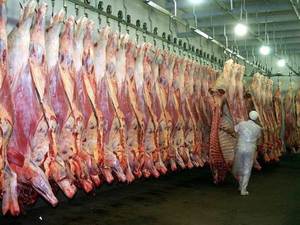 Carne: afirman que cerrarían exportaciones (gobierno dice que negocia)