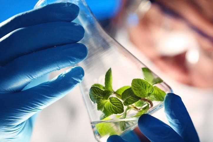Especial aniversario: mano a mano con De Chiara y el rol de la biotecnología en Córdoba