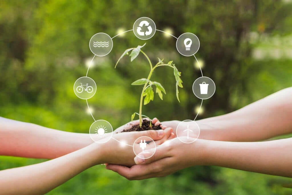 Los programas de sustentabilidad resisten los embates de la crisis económica