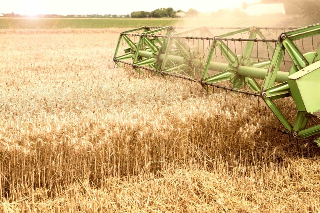 Inversiones: por qué Paraguay es tan atractivo para los argentinos para hacer negocios rurales