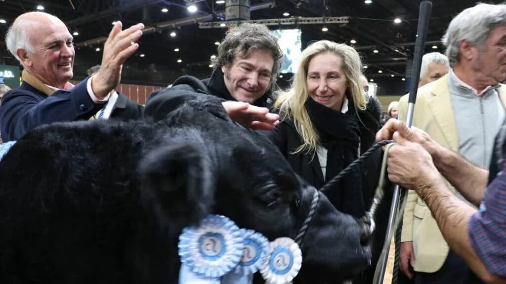 El agro y los mensajes de Milei: «los productores prefieren esperar una mejora antes que liquidar y tener la plata en el banco”