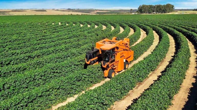 Con más de US$ 37.000 millones pendientes de liquidación, el campo vuelve al centro de la economía