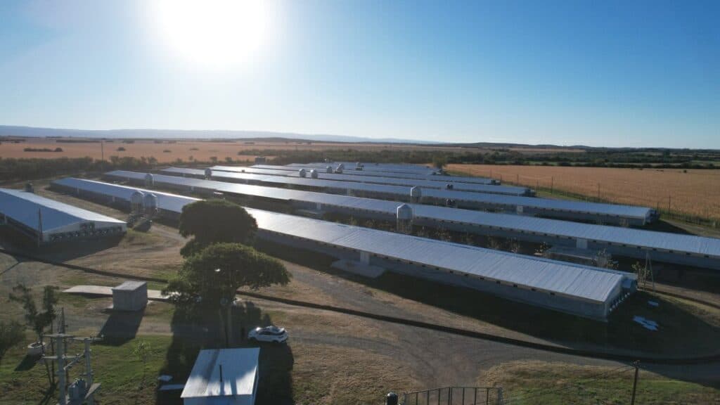 #Empresario2024: Pollos San Mateo apuesta a la profesionalización con proyectos de alto impacto