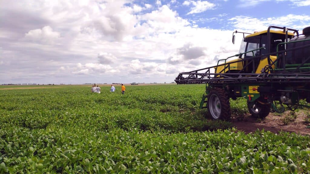 Fuga silenciosa: el campo genera dólares, pero muchos terminan en el exterior