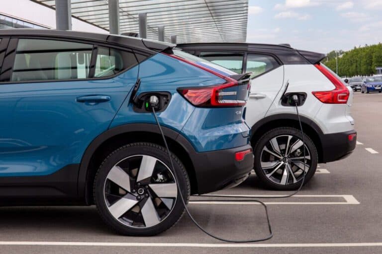 Los eléctricos están a full: estos son los números del primer semestre