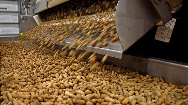 Radiografía de las exportaciones argentinas: el campo sostiene el ingreso de divisas